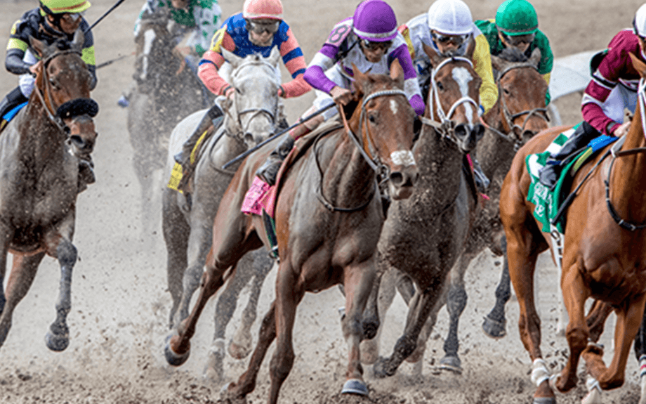 Horse Racing at Fair Grounds New Orleans