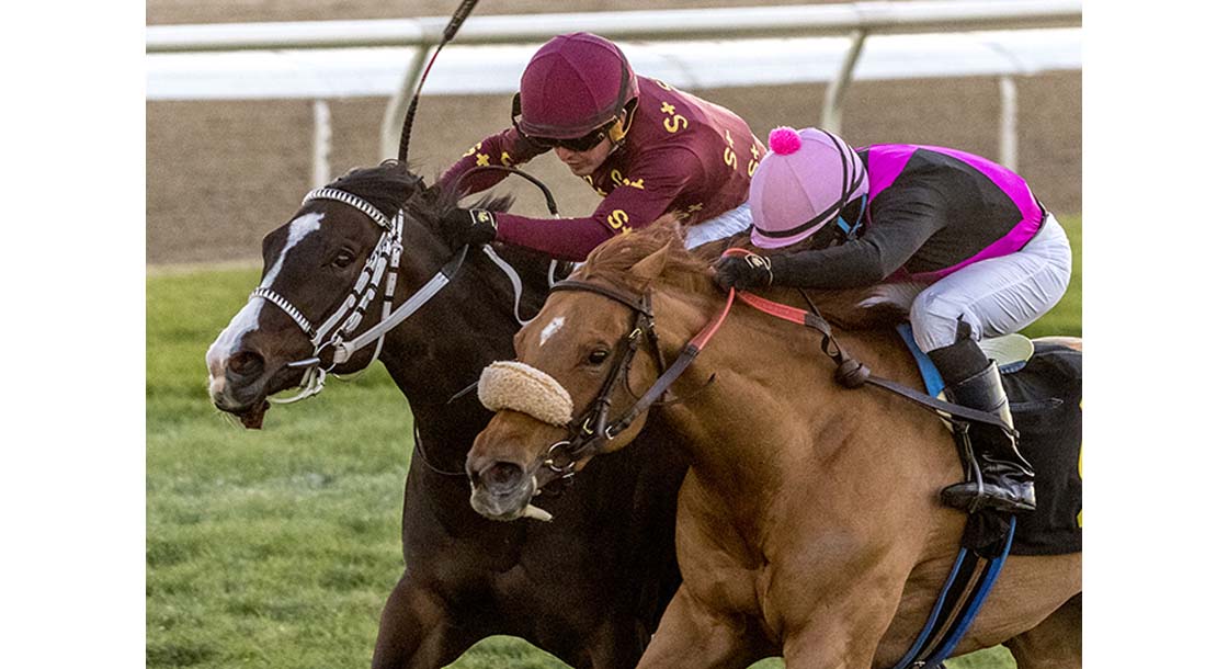 1/29/2022 - Elle Z with Mitchell Murrill (prink cap) puts a nose in front of Change Of Control ridden by Colby Hernandez to capture the inaugural running of the Frederick P. Aime Memorial Stakes at Fair Grounds. Hodges Photography / Jan Brubaker