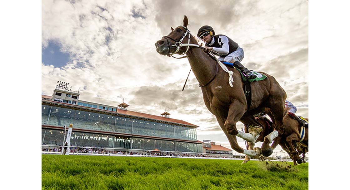 12/26/2021 - Just Might and jockey Colby Hernandez go gate to wire to win the 16th running of the $75,000 Richard R. Scherer Memorial Stakes at Fair Grounds. Hodges Photography / Amanda Hodges Weir