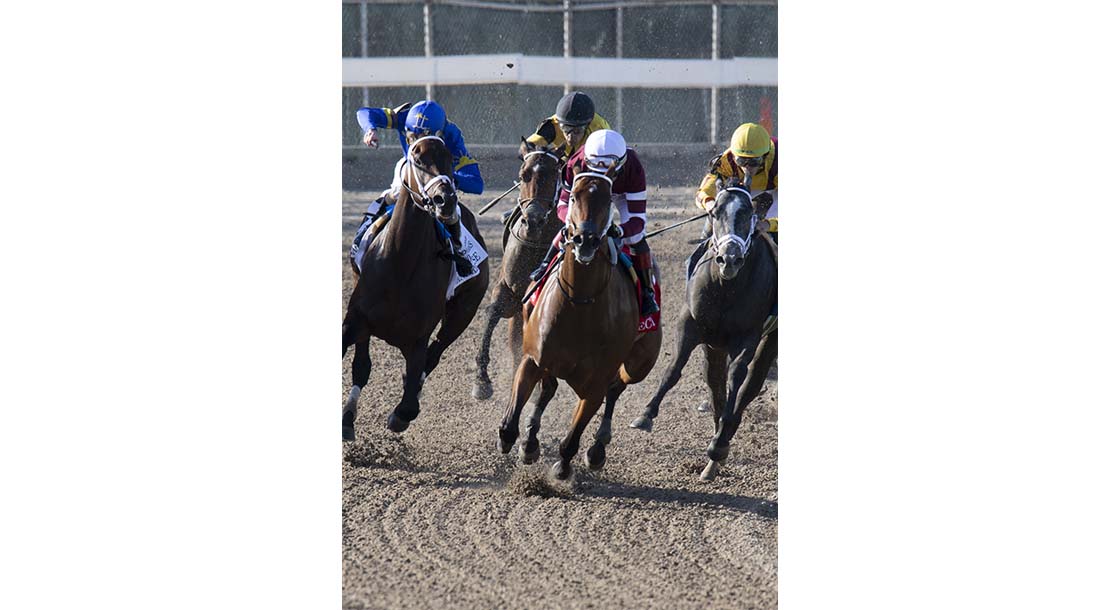 3/26/2022 - Echo Zulu with Joel Rosario aboard turns for home and goes on to win the 55th running of the Grade II $400,000 Fair Grounds Oaks at Fair Grounds. Hodges Photography / Jan Brubaker