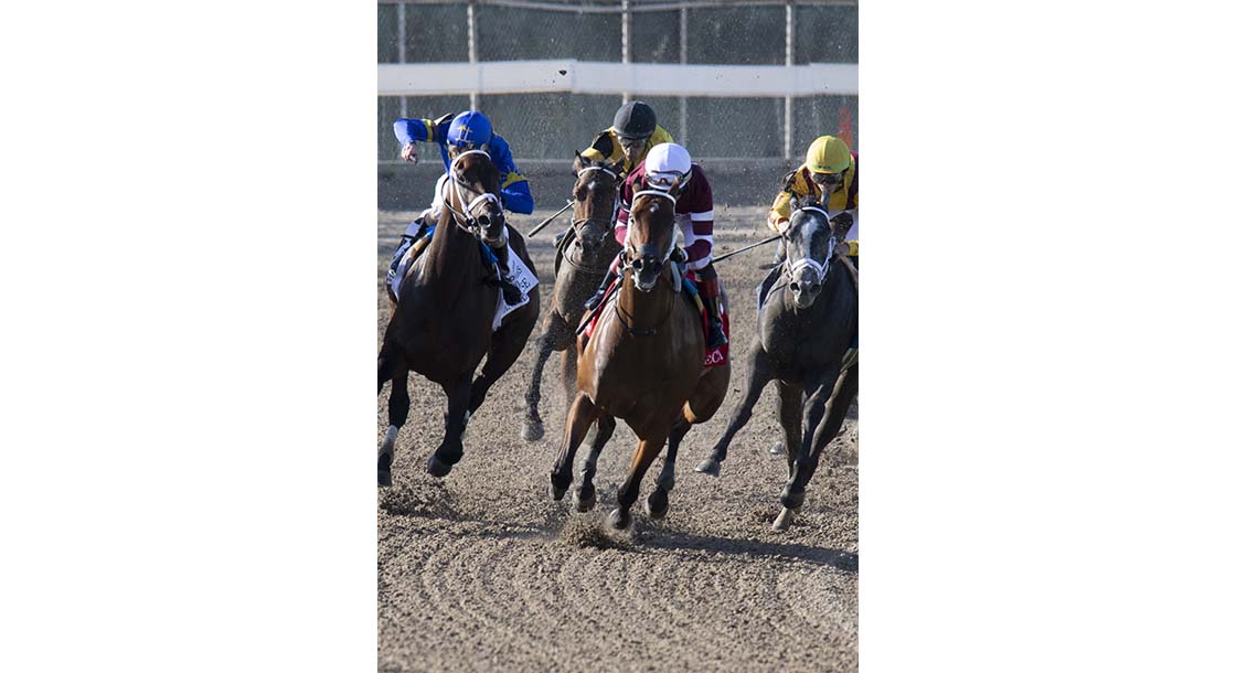 Echo Zulu with Joel Rosario at Fair Grounds Race Course & Slots