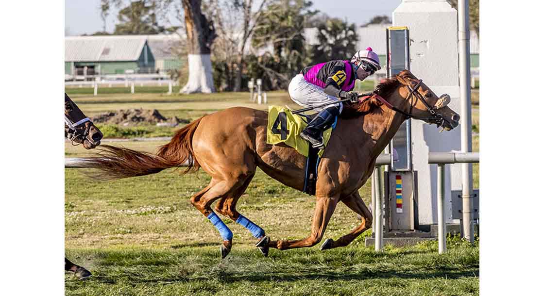 Elle Horse Racing at Fair Grounds Race Course & Slots