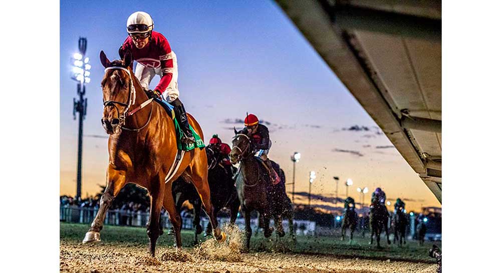 Epicenter at Fair Grounds Race Course & Slots