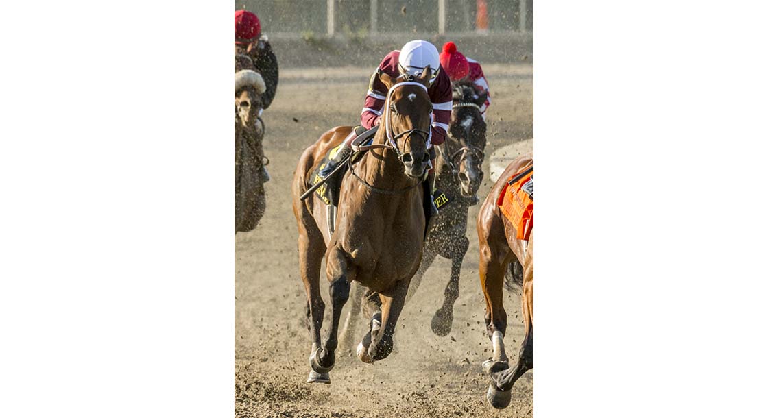 Louisiana Derby at Fair Grounds Race Course & Slots