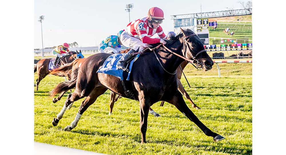 Horse Racing at Fair Grounds Race Course & Slots