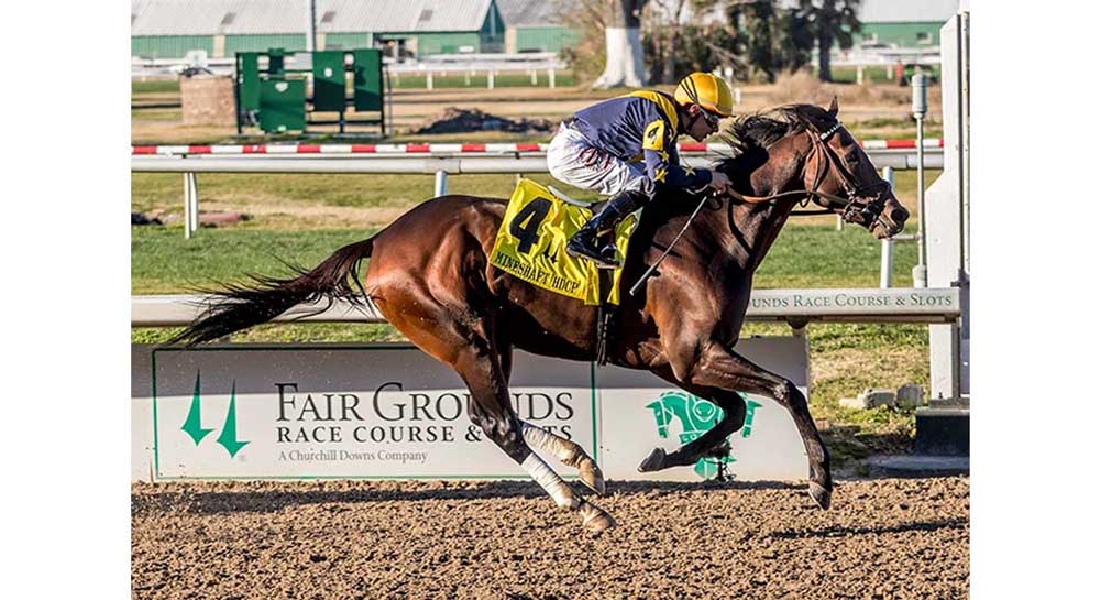 Clairiere Horse Racing at Fair Grounds