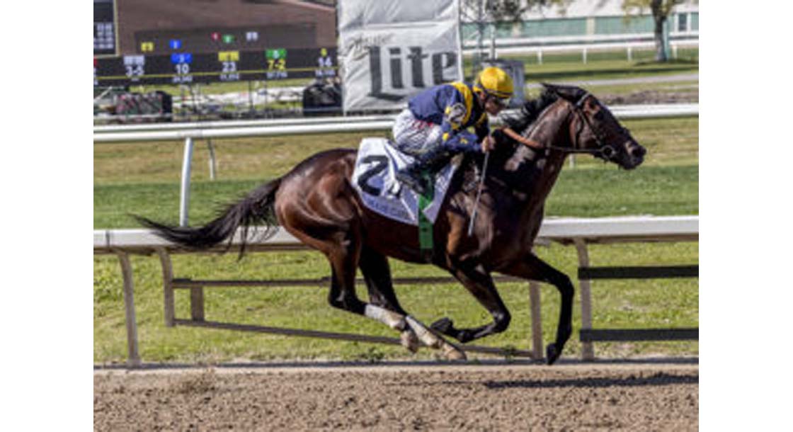 Olympiad with Junior Alverado at Fair Grounds Race Course & Slots