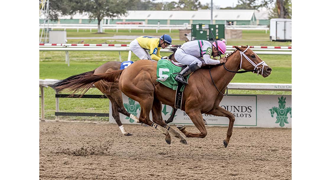 12/11/2021 - With a late charge Ova Charged outruns Cilla to capture the Louisiana Champions Day Ladies Sprint at Fair Grounds. Hodges Photography / Lou Hodges, Jr.