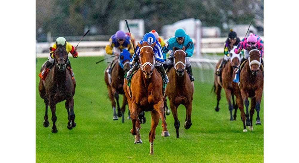 Louisiana Champions Day Turf at Fair Grounds Race Course & Slots