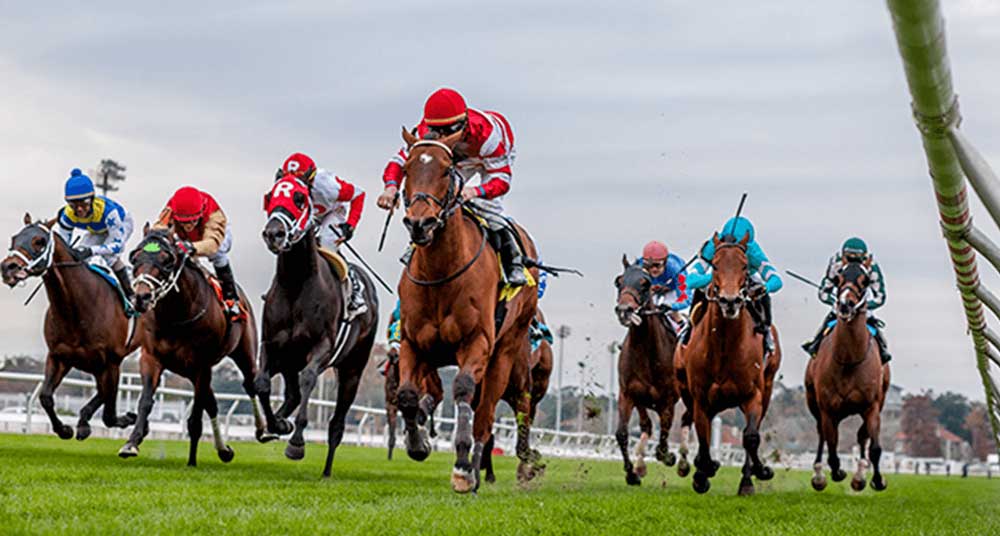 Clubhouse Dining at Fair Grounds Race Course & Slots