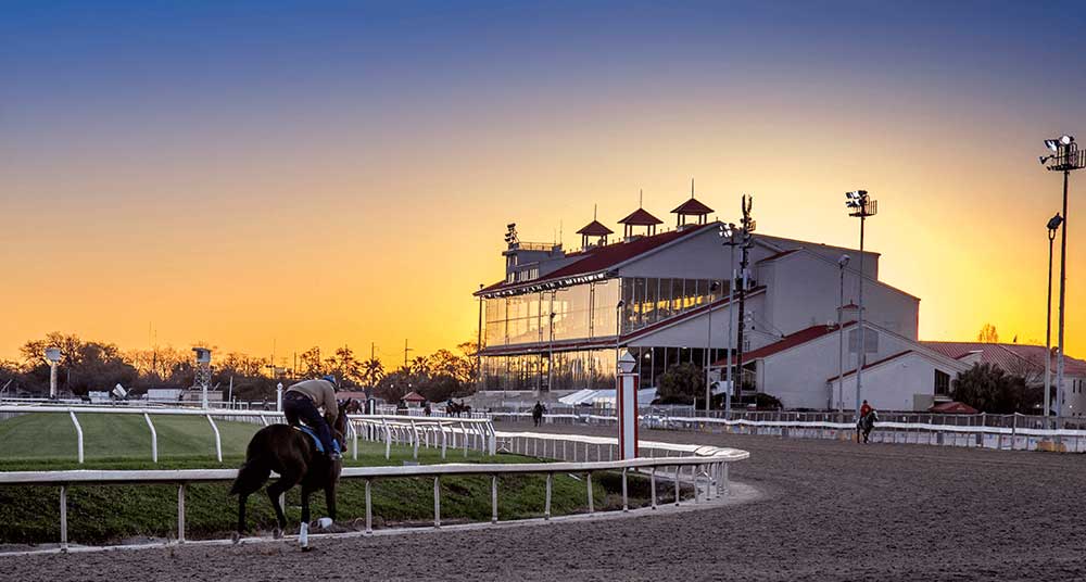 The Racetrack at Fair Grounds Race Course & Slots