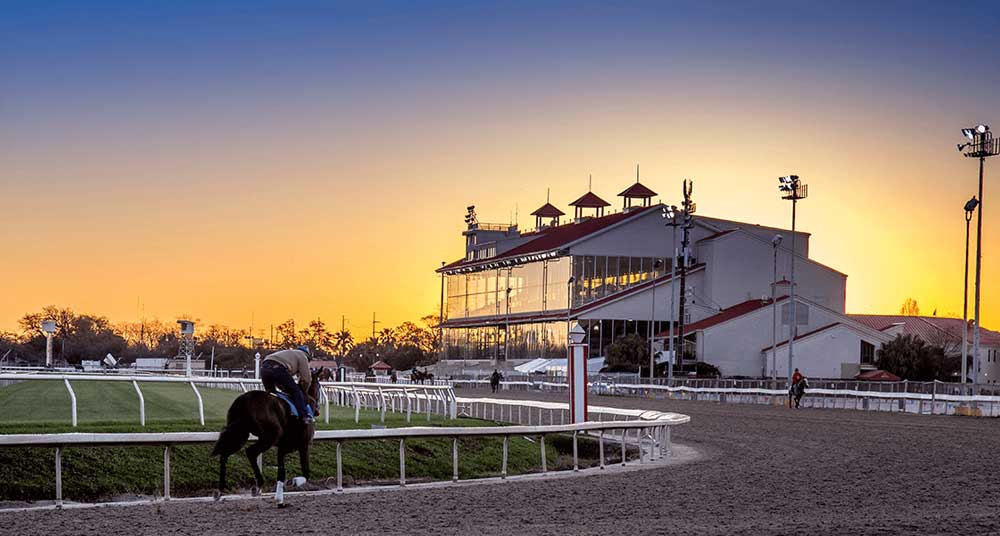 The Racetrack at Fair Grounds Race Course & Slots