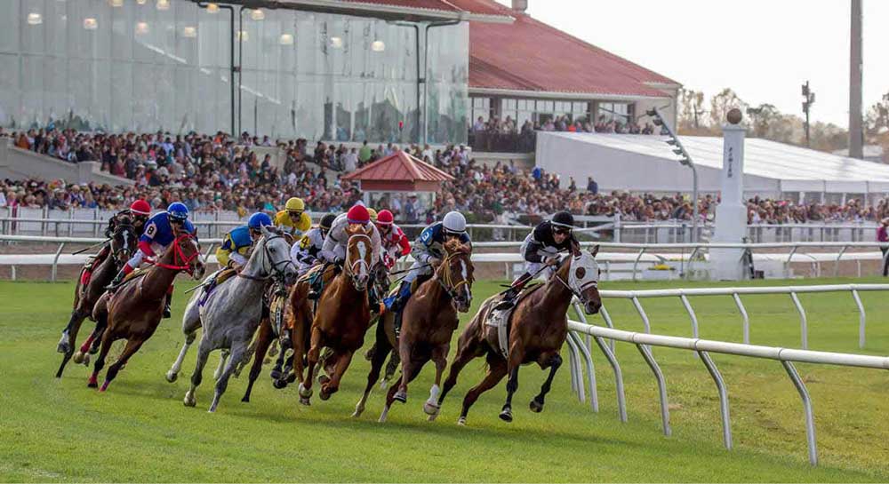 Horse Racing at Fair Grounds Race Course & Slots