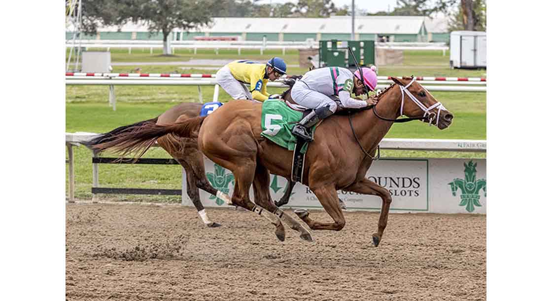 Louisiana Champions Day Ladies Sprint at Fair Grounds Race Course & Slots