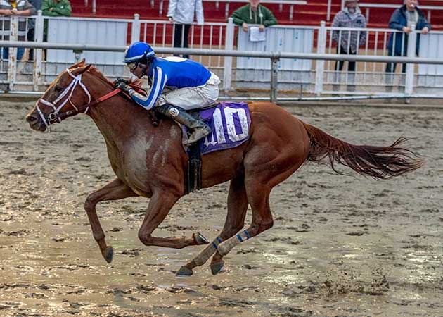 Horse Racing at Fair Grounds