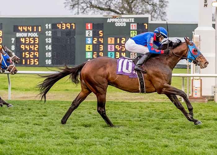 Captivating Moon with jockey Marcelino Pedroza aboard at Fair Grounds Race Course & Slots