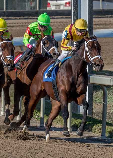 Corona Bolt with Florent Geroux aboard leads the field into the stretch and goes on to capture the 73rd running of the Sugar Bowl Stakes at Fair Grounds.