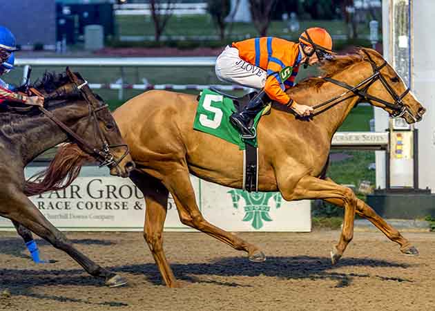 Horse Racing at Fair Grounds Race Course & Slots