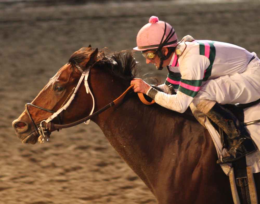 Star Guitar at Fair Grounds Race Course & Slots