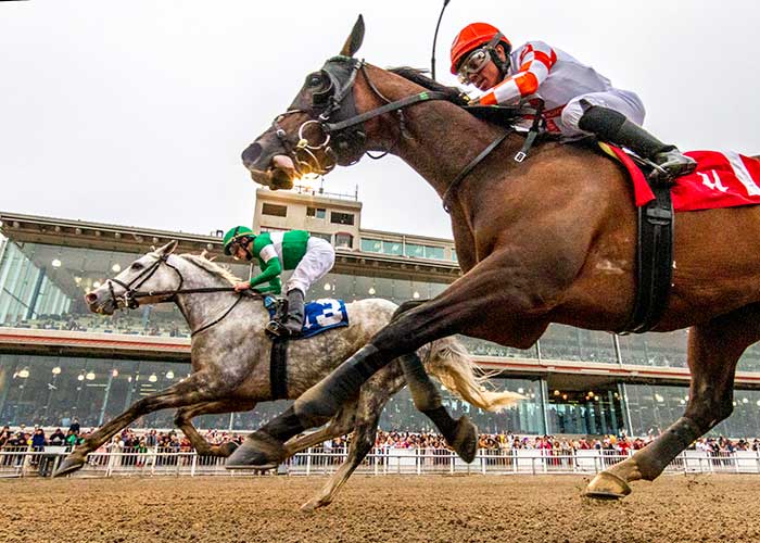 Horse Racing at Fair Grounds Race Course & Slots