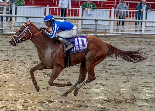 Horse Racing at Fair Grounds Race Course & Slots