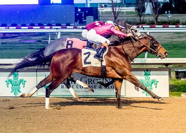 Bron and Brow Horse Racing at Fair Grounds Race Course & Slots