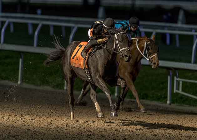 Instant Coffee Horse Race at Fair Grounds Race Course & Slots