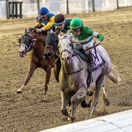 Jockey James Graham aboard Surveillance at Fair Grounds Race Course & Slots