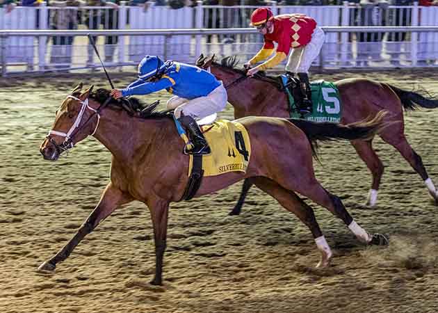 The Alys Horse Racing at Fair Grounds Race Course & Slots