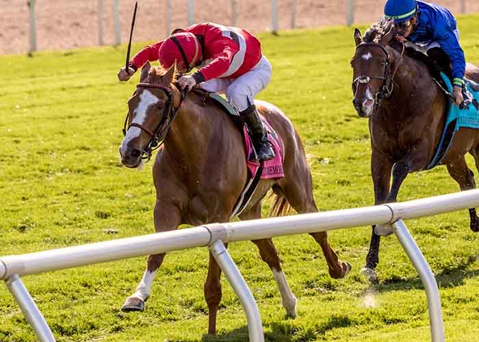 Two Emmys at Fair Grounds Race Course & Slots