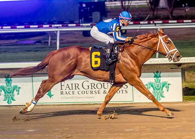 Jack Hammer and Free Drop Maddy at Fair Grounds Race Course & Slots