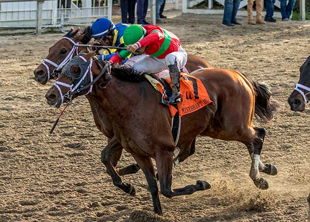 Pioneer of Medina Wins Thriller in Grade 3, $250,000 Mineshaft Stakes