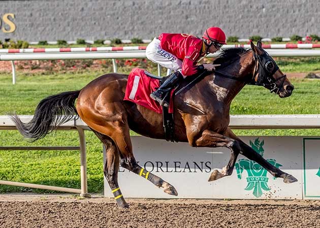 Allnight Moonlight at Fair Grounds Race Course & Slots