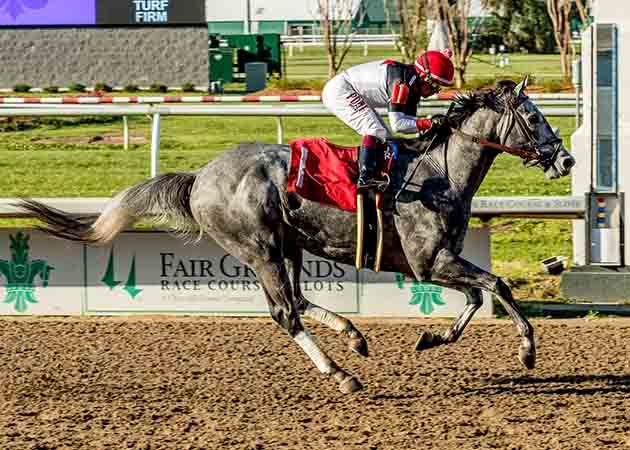 Bo Cruz horse racing at Fair Grounds Race Course & Slots