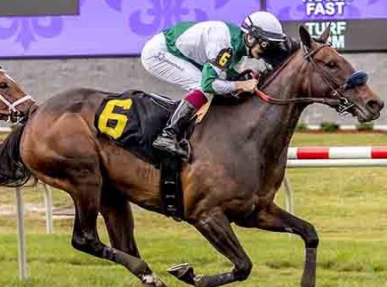 Didia with Vincent Cheminaud aboard at Fair Grounds Race Course & Slots