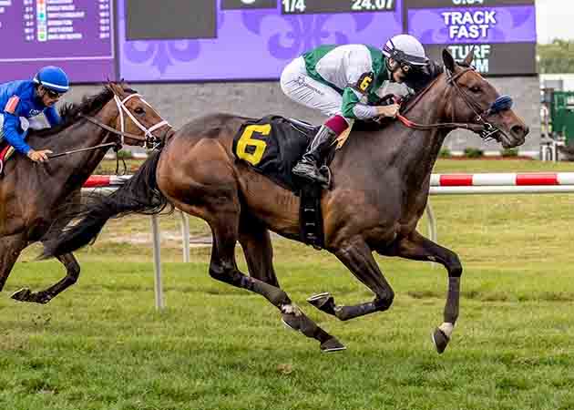 Didia with Vincent Cheminaud aboard at Fair Grounds Race Course & Slots