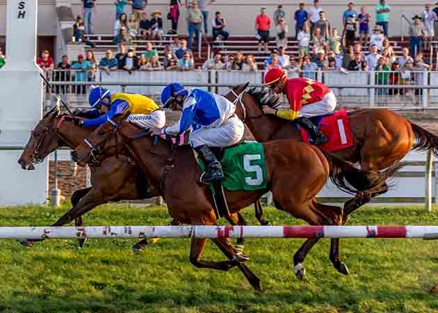 Girl Named Charlie horse racing at Fair Grounds Race Course & Slots