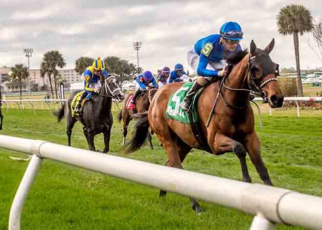 Hang the Moon horse racing at Fair Grounds Race Course & Slots