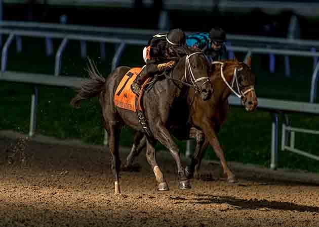 Instant Coffee horse racing at Fair Grounds Race Course & Slots