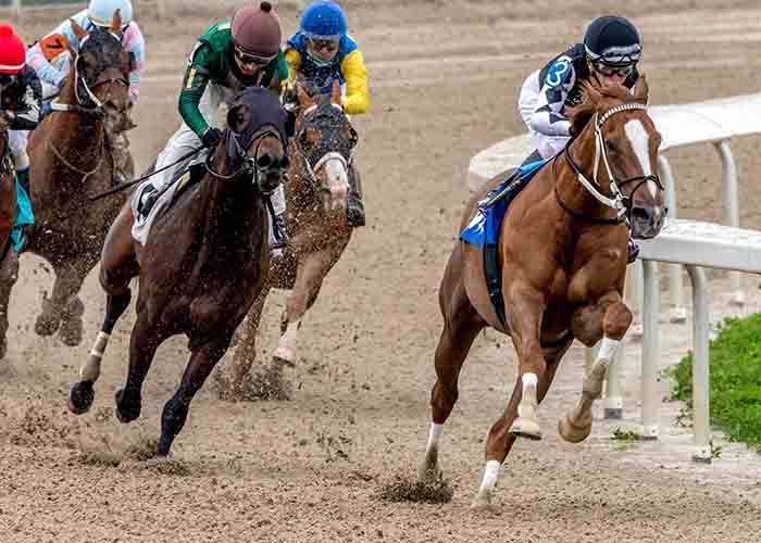 Just Might with jockey Colby Hernandez aboard at Fair Grounds Race Course & Slots