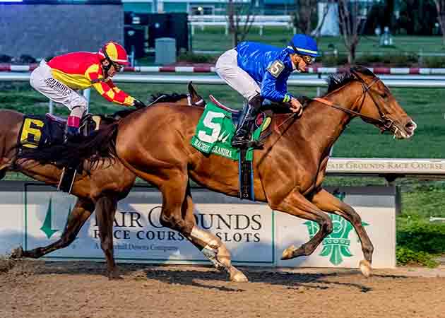 Pretty Mischievous horse racing at Fair Grounds Race Course & Slots