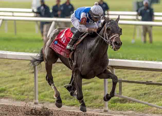 Southlawn with Reylu Gutierrez aboard at Fair Grounds Race Course & Slots