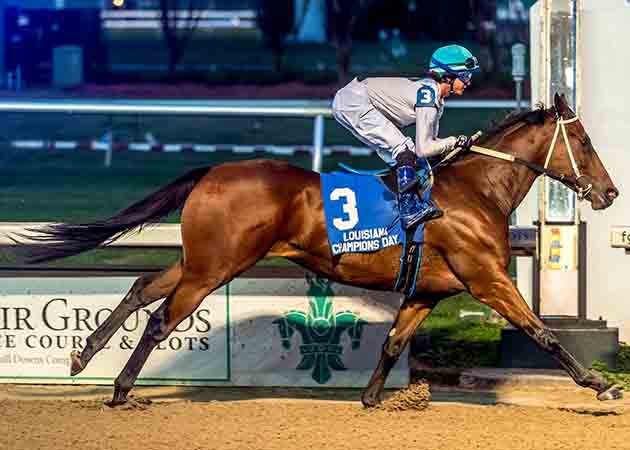 Touchuponastar horse racing at Fair Grounds Race Course & Slots