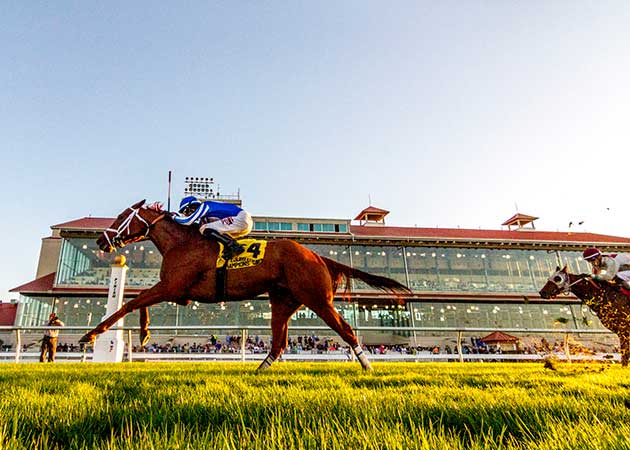 The Louisiana Champions Day Turf at Fair Grounds.