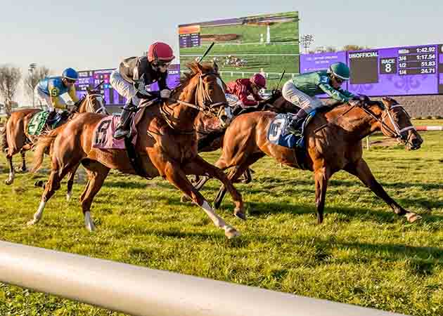 Wonderful Justice at Fair Grounds Race Course & Slots