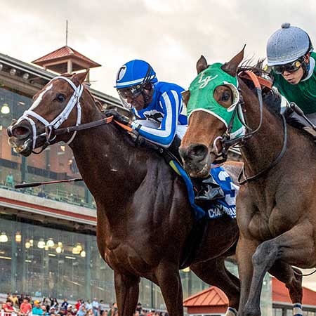 Charlotte Horse Racing at Fair Grounds Race Course & Slots in New Orleans