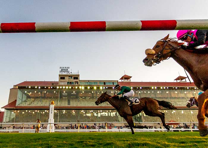Brooke Marie horse racing at Fair Grounds Race Course & Slots