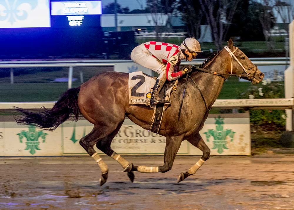 Mischievous Rogue Horse Racing at Fair Grounds Race Course & Slots