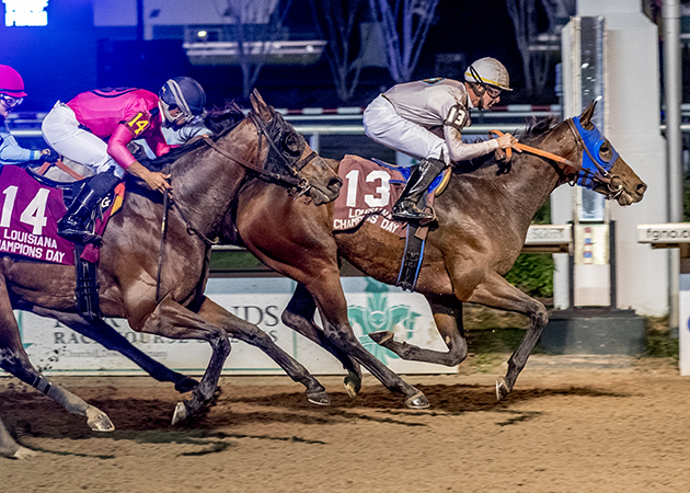 Magnum_12-9-2023-f-sm