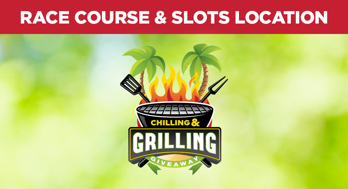 FGNO-65704-Chilling_and_Grilling-DigiGFX-1120 x 610